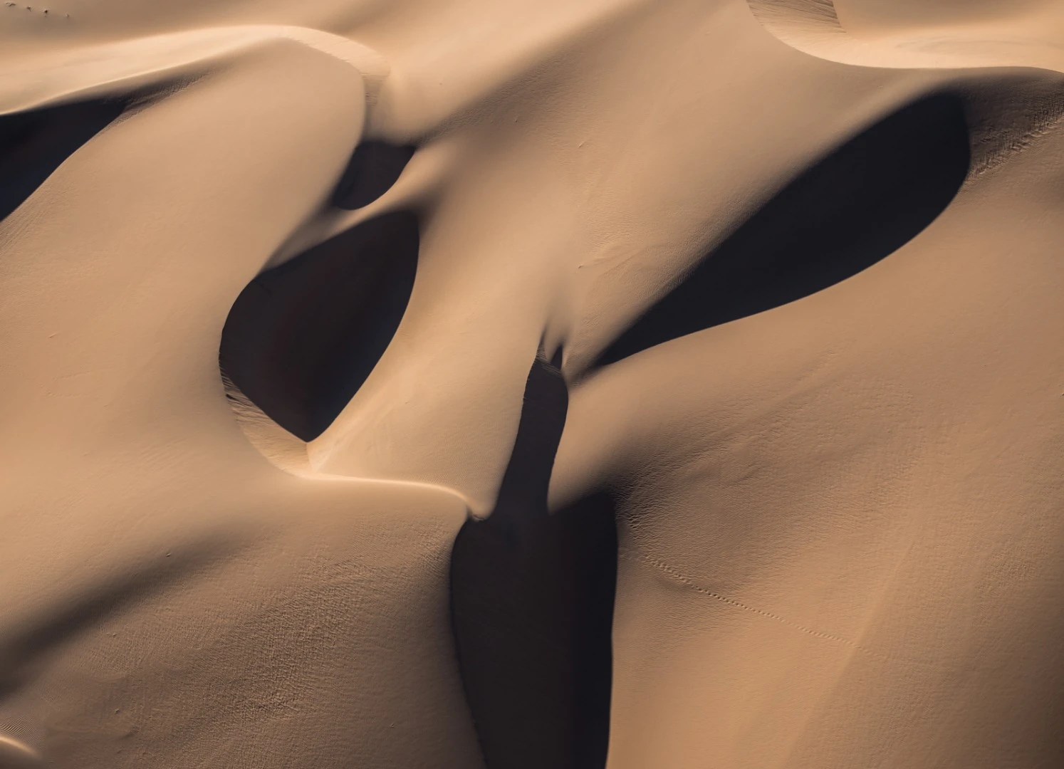 A face in the Namib desert