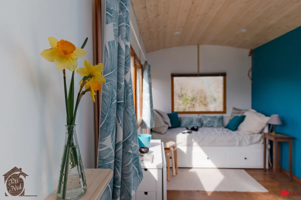 The Head in the Stars Professional's sofa doubles up as a bed