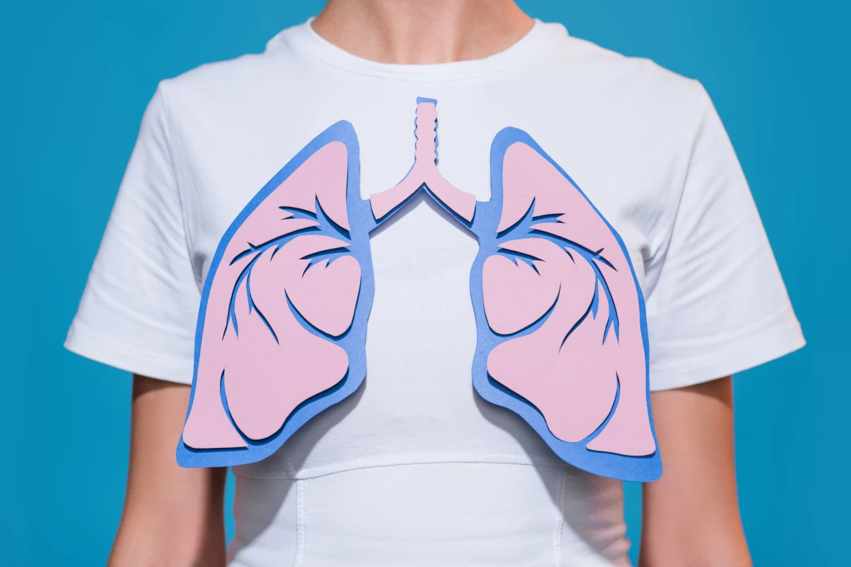 Researchers have discovered a new type of cell in the lung, which could be a new drug target for some lung diseases
