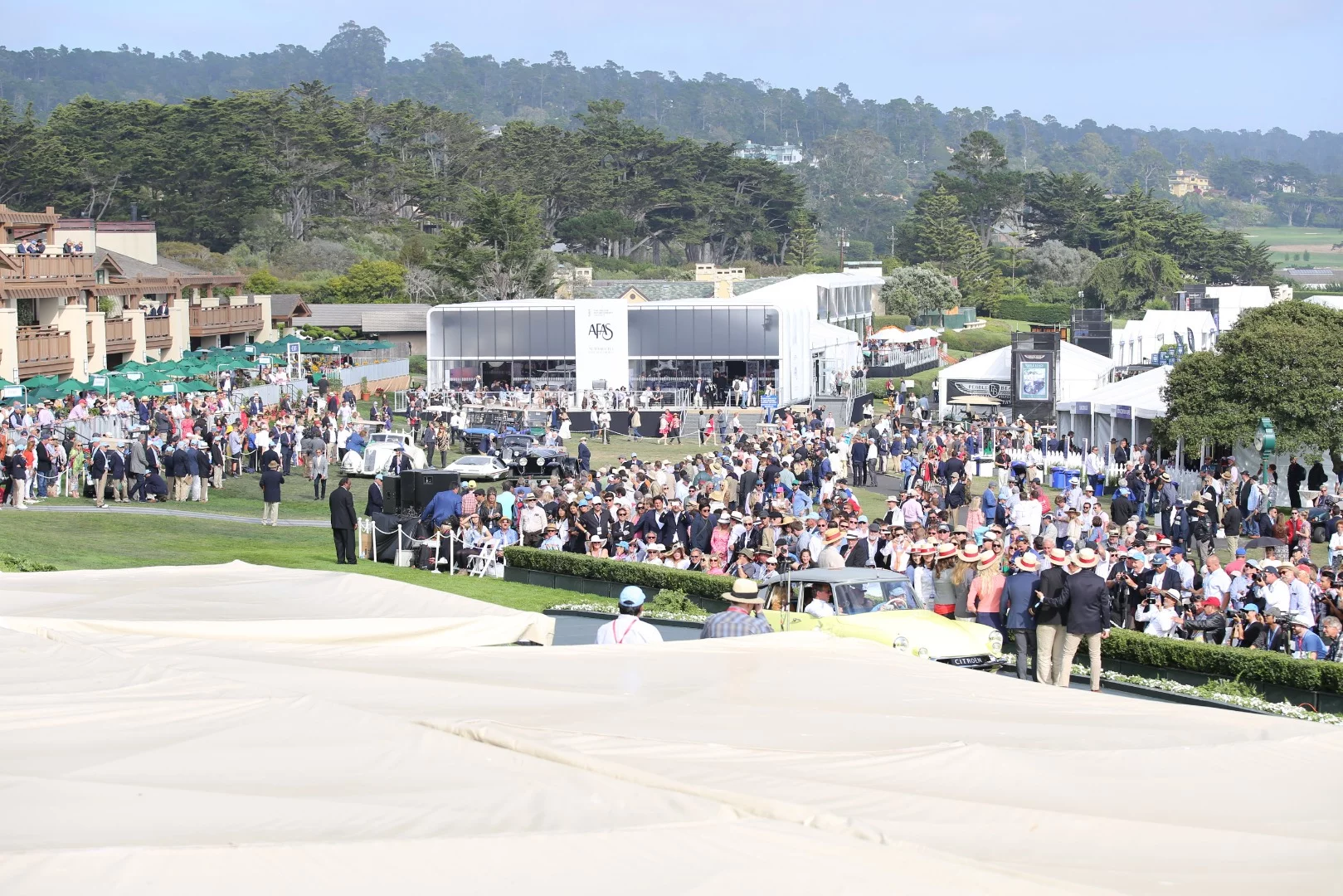 Overlooking the fairway