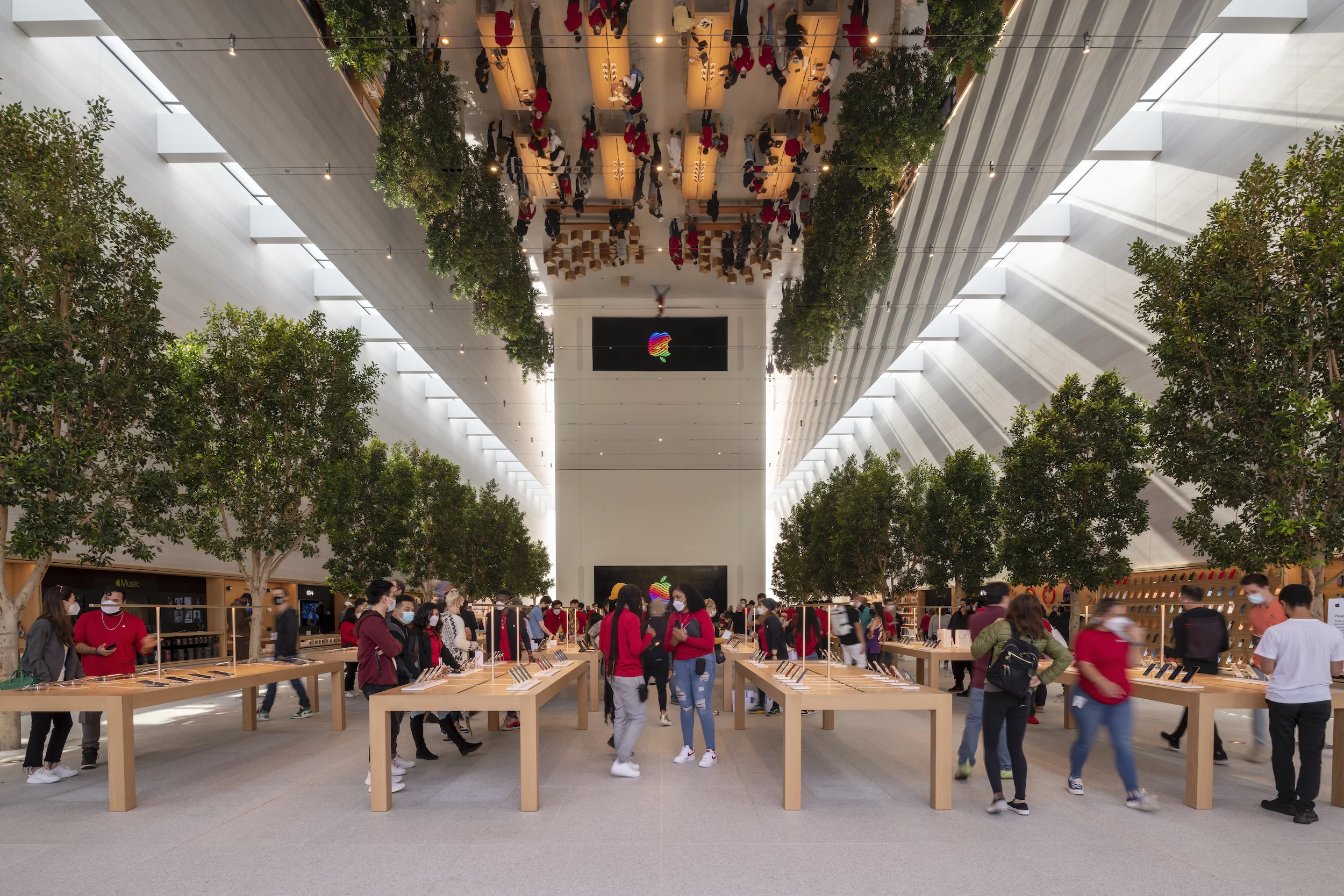 Apple The Grove's interior is laid out on one floor and will be familiar to those who have visited other Apple Stores