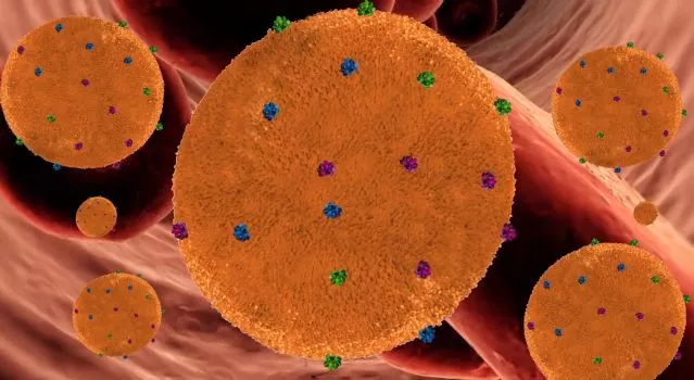 A rendering of the nanosponges attracting bloodstream-borne toxins