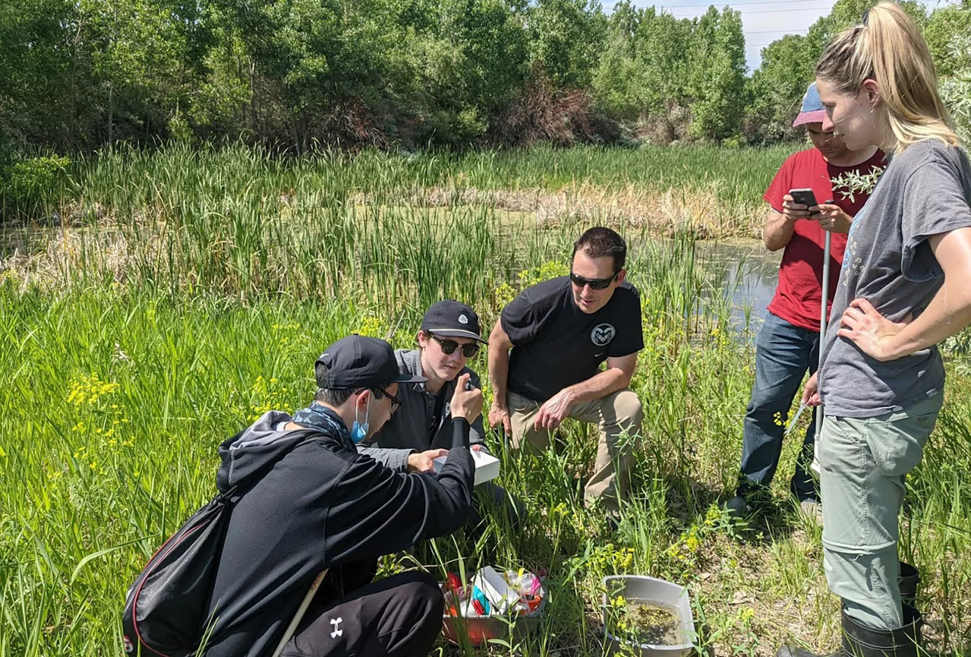 Members of the research team at a field site in Fort Collins, Colorado, collecting mosquitoes for analysis
