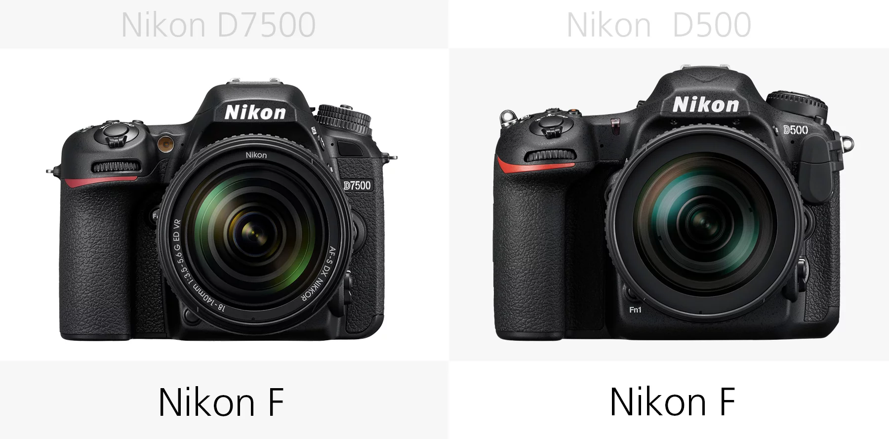 The lens mounts of the Nikon D7500 and Nikon D500 compared