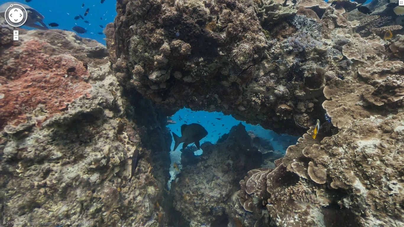 The crew visited six different reefs: two in Australia (Heron Island and Lady Elliot Island), two in Hawaii (Molokini Crater and Hanauma Bay), and two in the Philippines (the Apo Islands and Wilson Island)