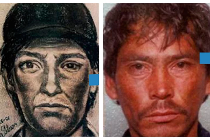 Software created at Michigan State University is capable of matching faces in police sketches to those in mug shots (Image: MSU)