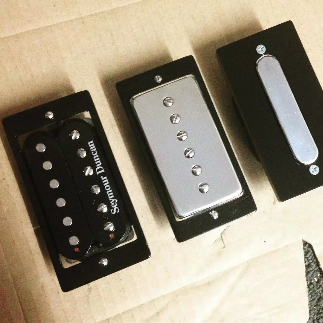 The P-Link system doesn't come supplied with any pickups, but can accept single coil/P-90 pickups as well as classic or modern humbucking pickups