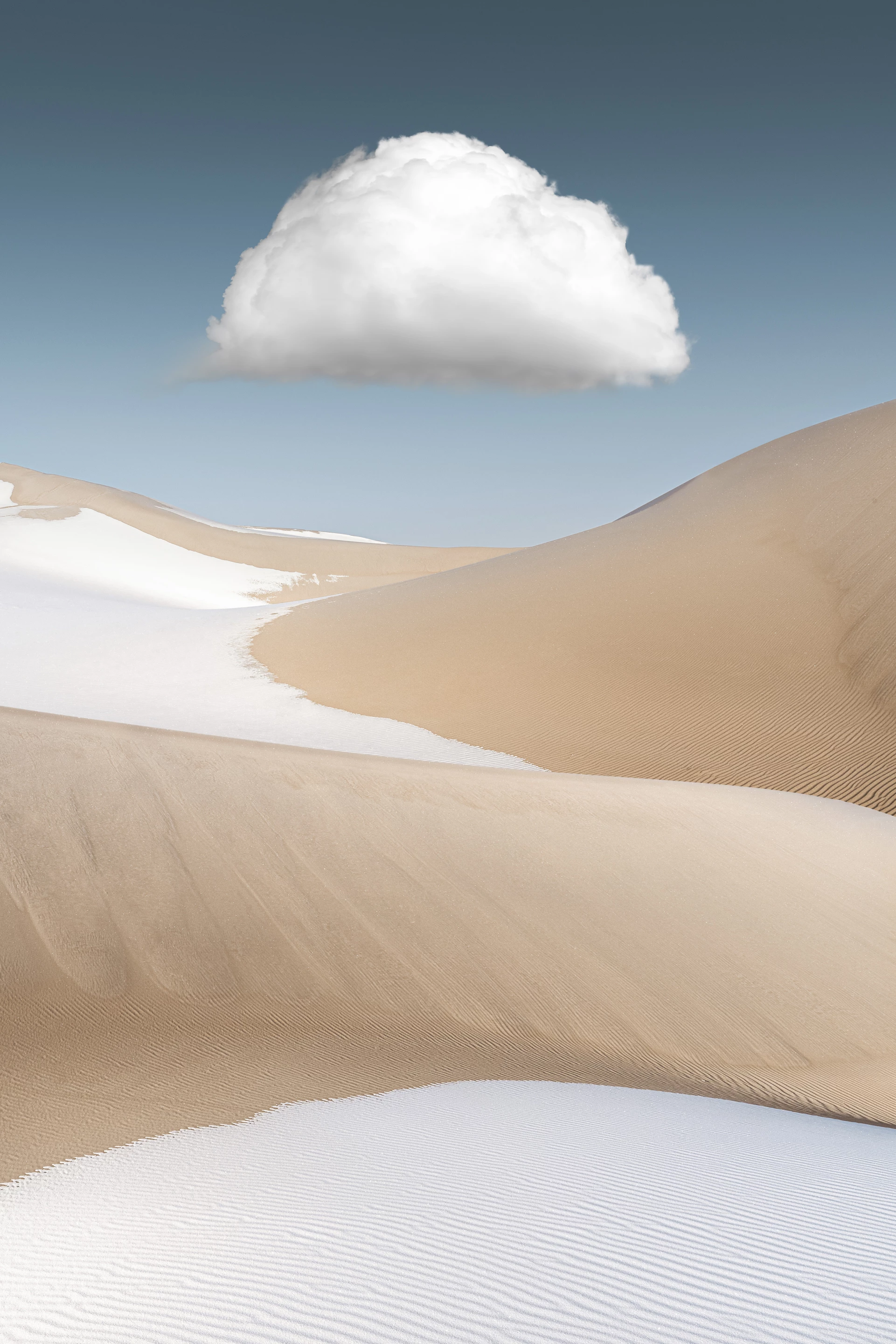 An image from the second place winner's Photographer of the Year portfolio