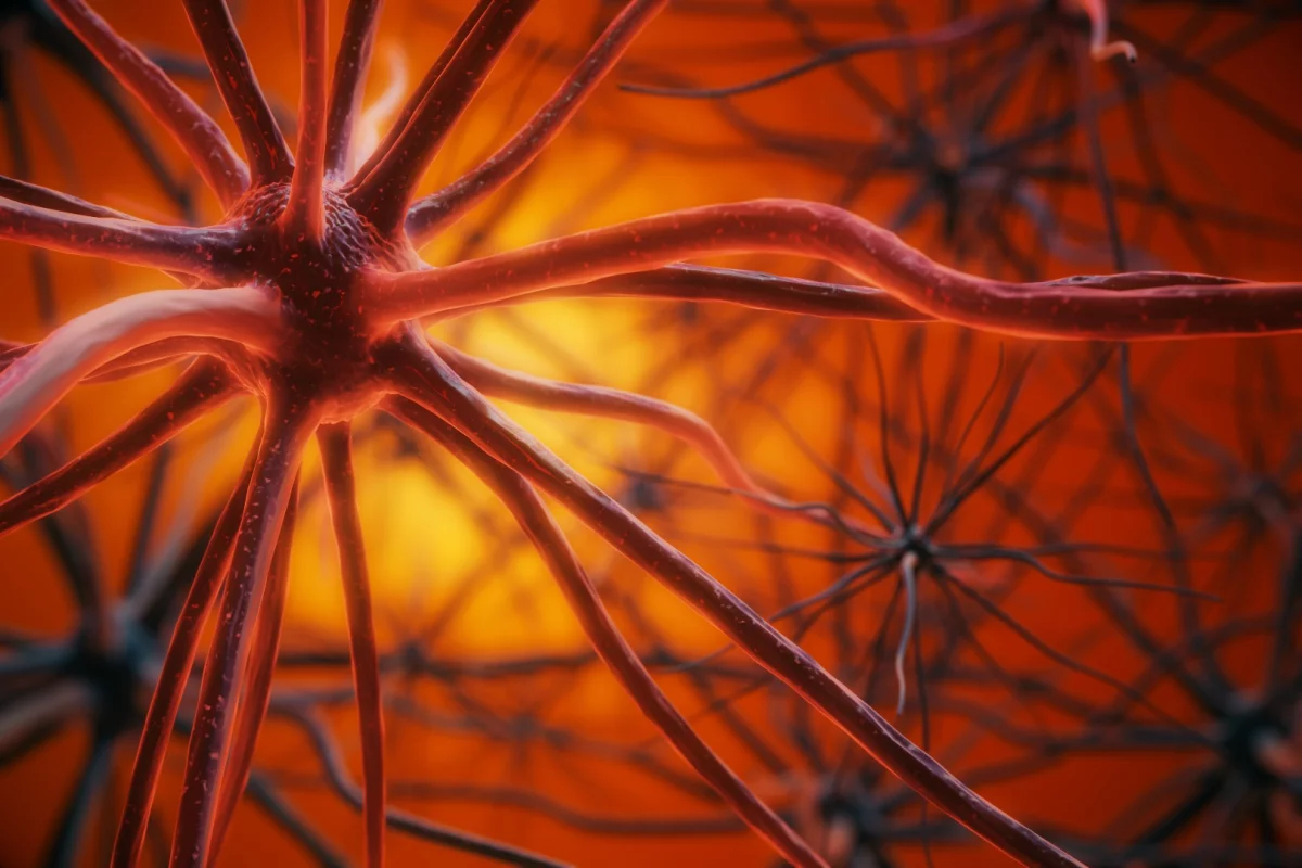 The research uncovered a novel combination of proteins that seem to protect the brain from the degenerative accumulation of toxic Alzheimer's plaques
