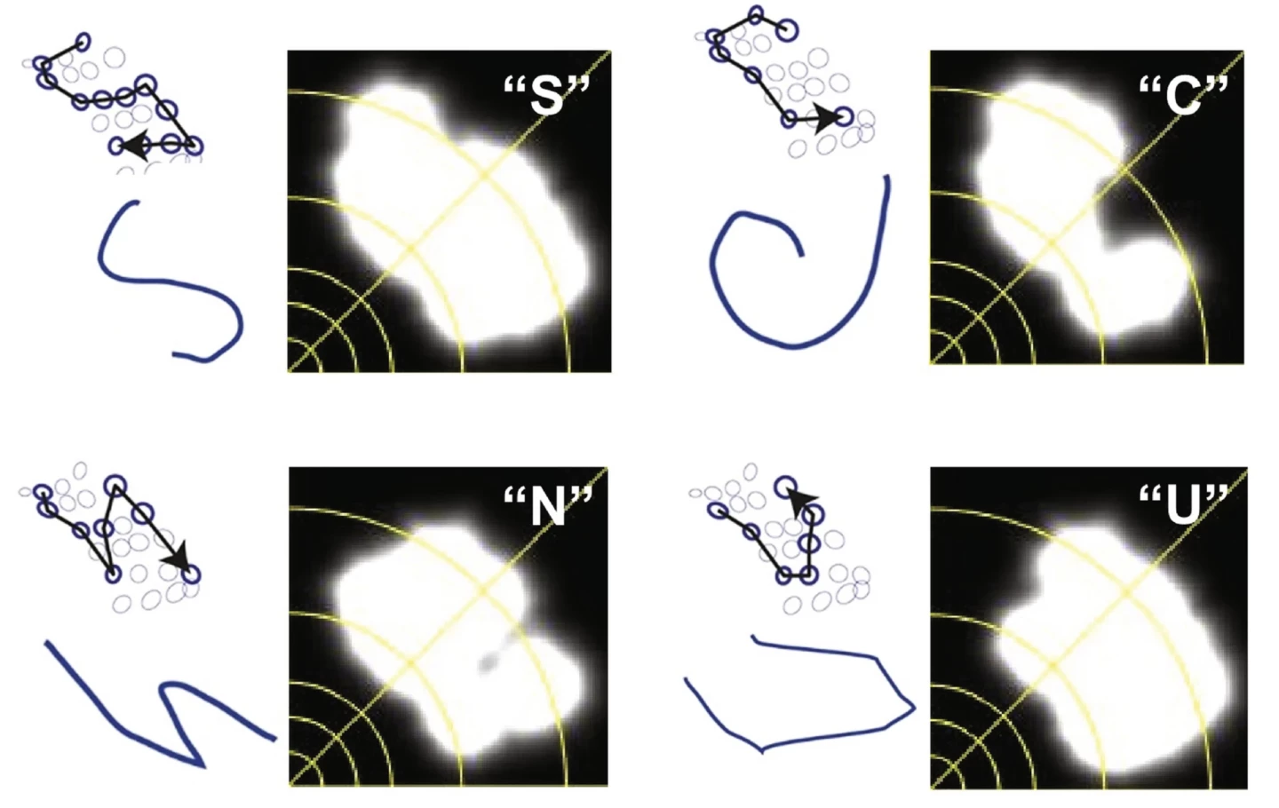 Electrodes firing in response to 'letter' visual stimuli. It shows the patient-reported phosphene maps of stimulated electrodes (bold circles) and the direction of the temporal sequence of stimulation (arrow)