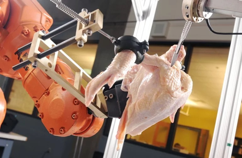 The Intelligent Cutting and Deboning System robot uses 3D imaging technology to automatically debone chickens