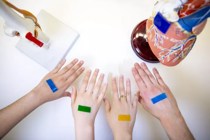 Seen here in multiple colors, the bandage could reportedly be used not just on typical skin wounds, but also on internal injuries or chronic diabetic skin ulcers