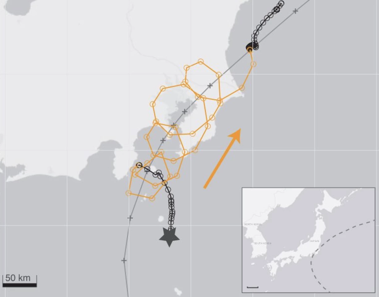 Not as the crow flies: Scientists were able to track the loopy 11-hour journey of the GPS-tagged 'rider on the storm'