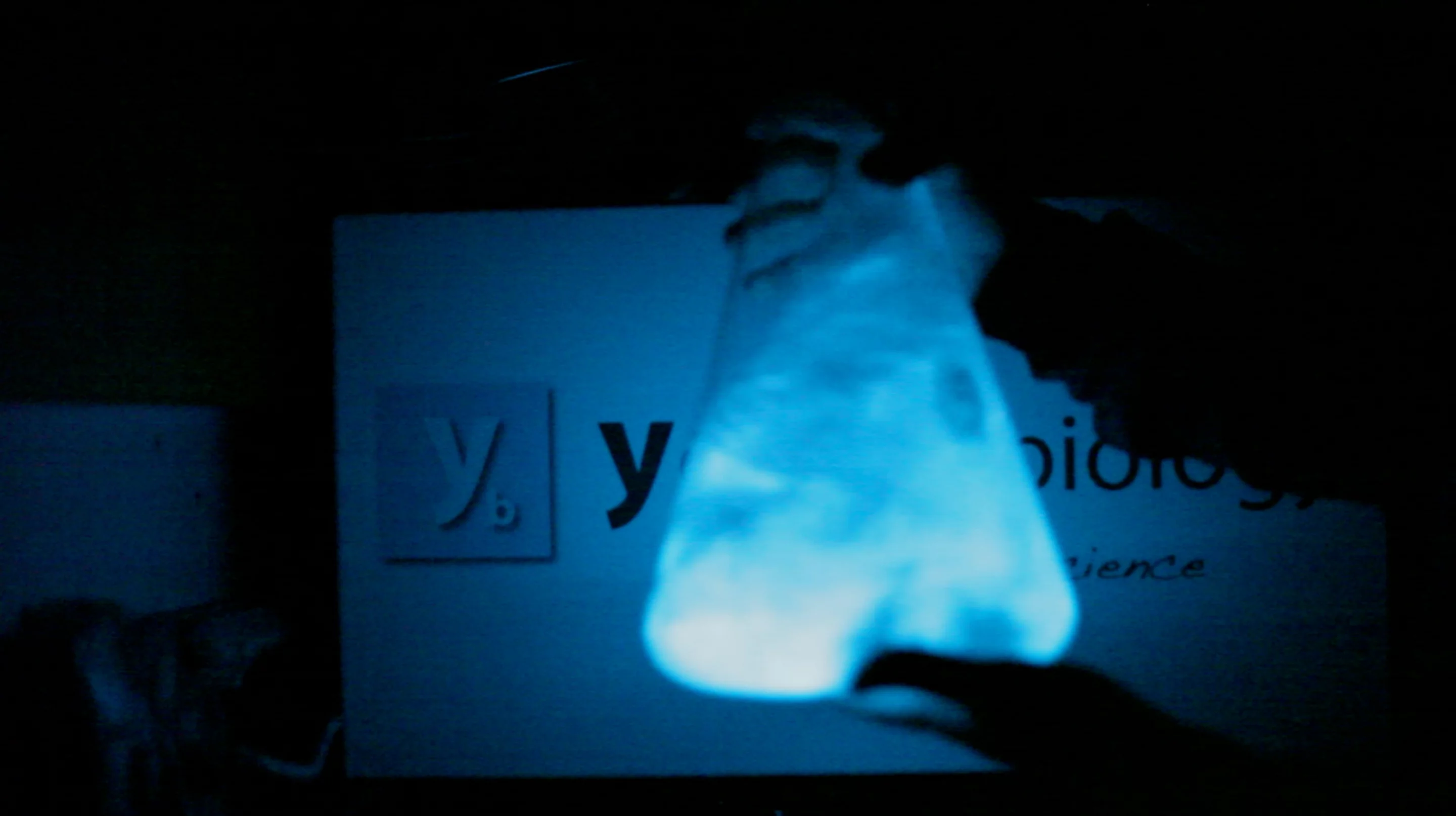 The Dino Pet gets its glow from the Pyrocystis fusiformis species of marine algae, which emit a blue light for a short time when shaken in the dark