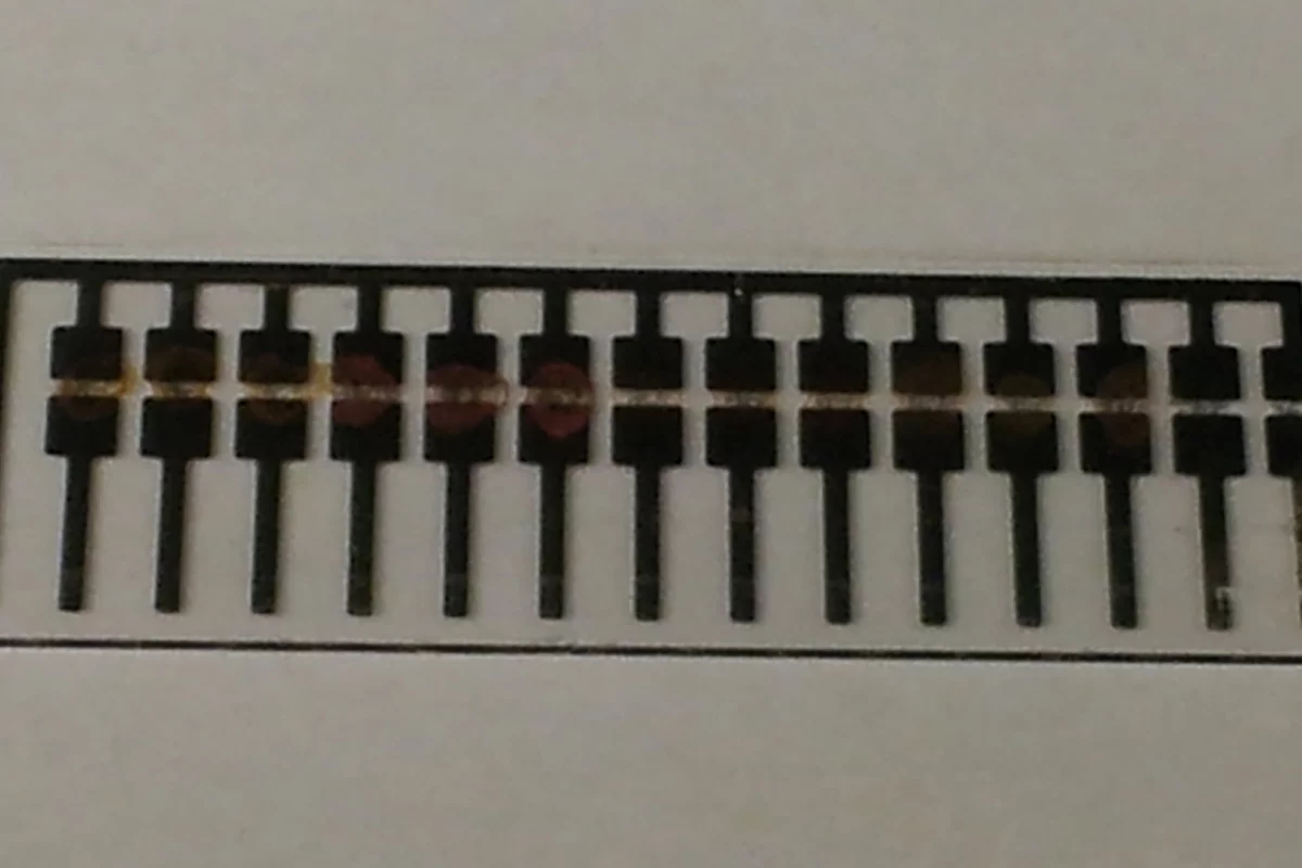 The sensor makes use of modified carbon nanotubes in order to detect decay in meat (Image: MIT/Sophie Liu)