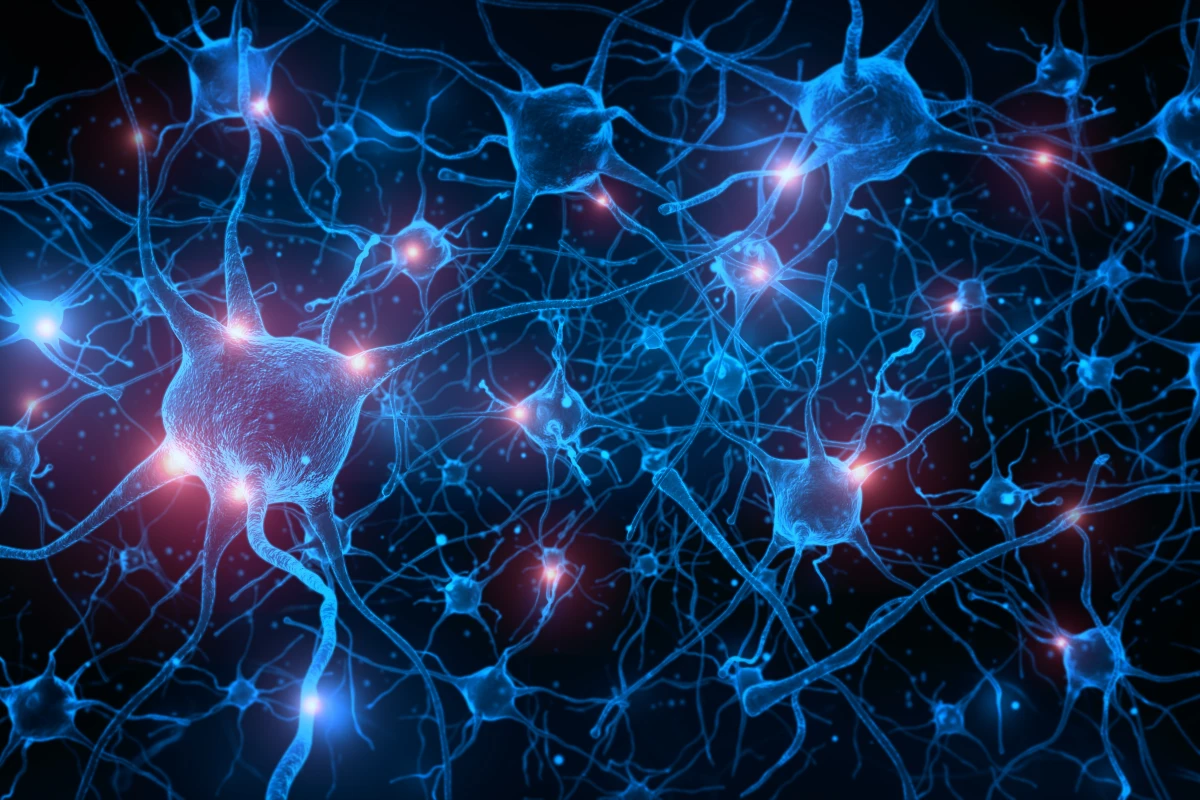 Living computers forge a ‘hive mind’ and work together to outsmart AI