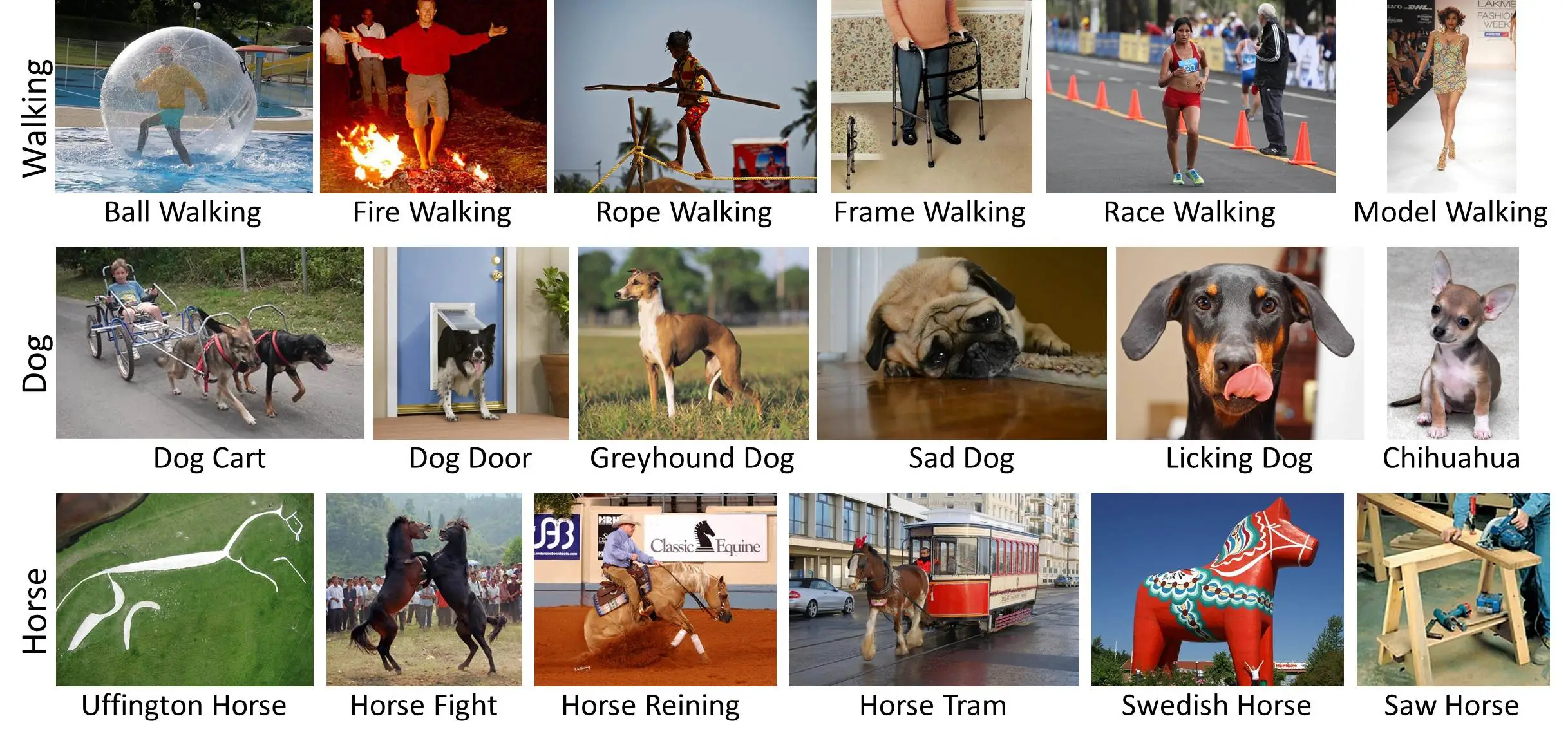 LEVAN learns by associating words with images