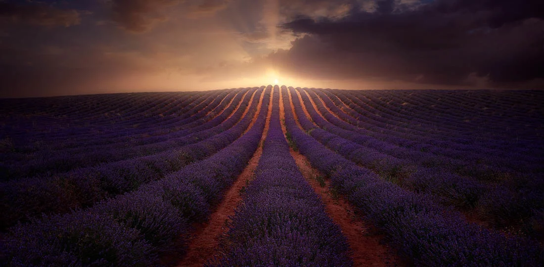 A highlight from the top 50 images in the Open, Nature category