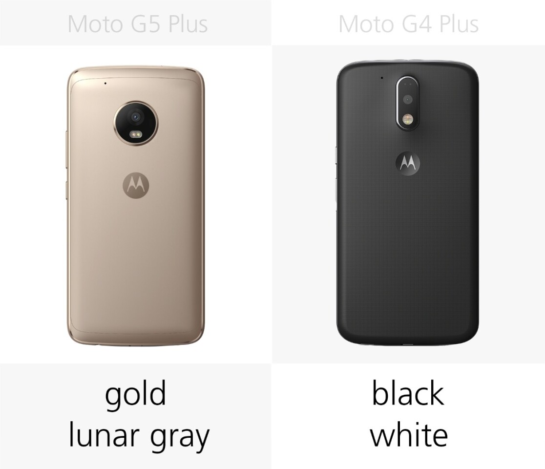 Color options