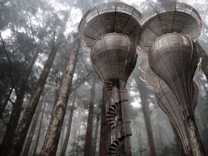 As the more ambitious and unusual of the two, Roost calls for several pod-like living capsules to be affixed directly to a tree