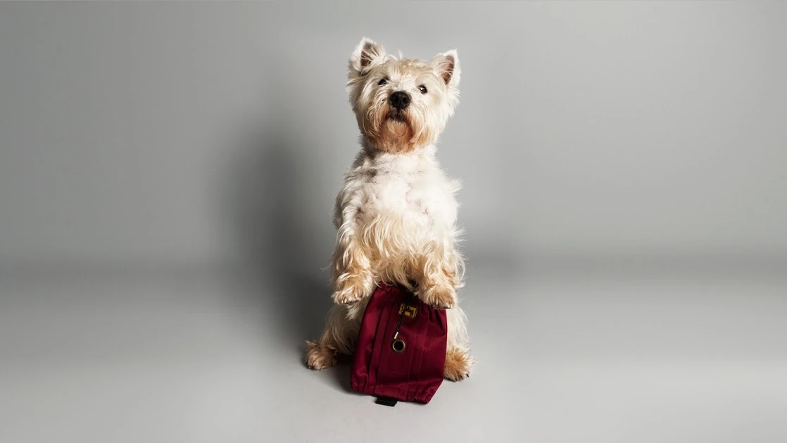 The Jekies Glovebag is designed to make picking up after your pooch more civilized