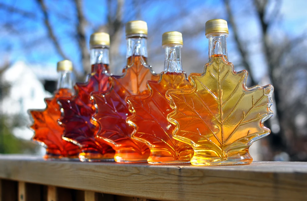 Scientists have produced a maple syrup extract that bolsters the ability of antibiotics to battle bacteria (Shutterstock)