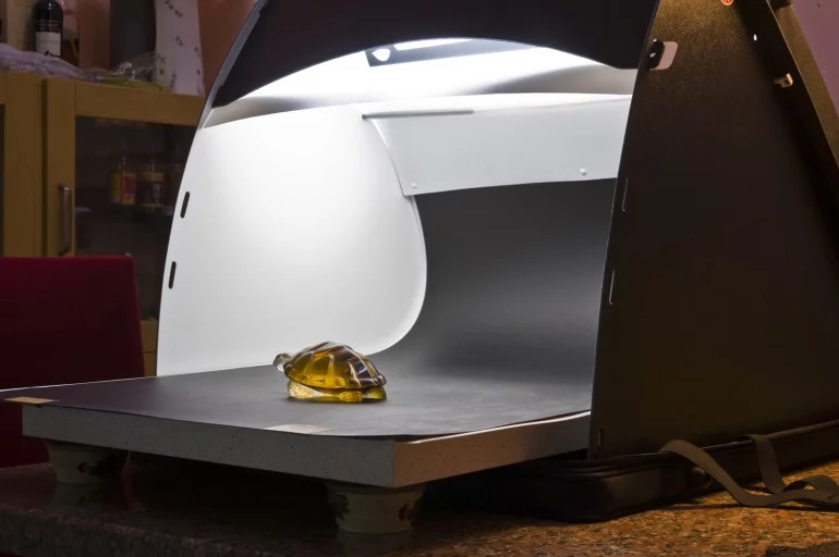 A subject in the Simp-Q