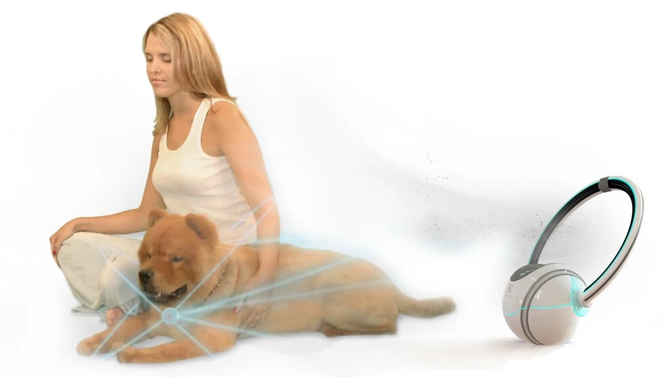 Petolar aims to monitor your pet's health and needs