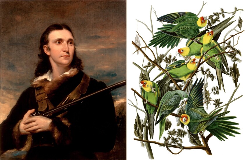This Aquatint Engraving of a Carolina Parrot by John James Audubon sold for $170,800 at Arader Galleries on June 4, 2017