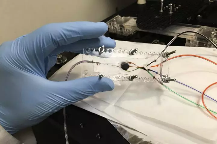 The 3D bioprinter has two key components: a custom-built microfluidic chip (pictured) and a digital micromirror
