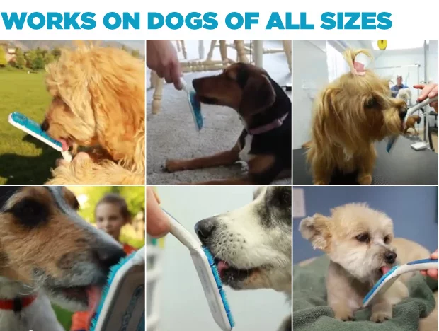 The Orapup is designed to work with dogs of all sizes