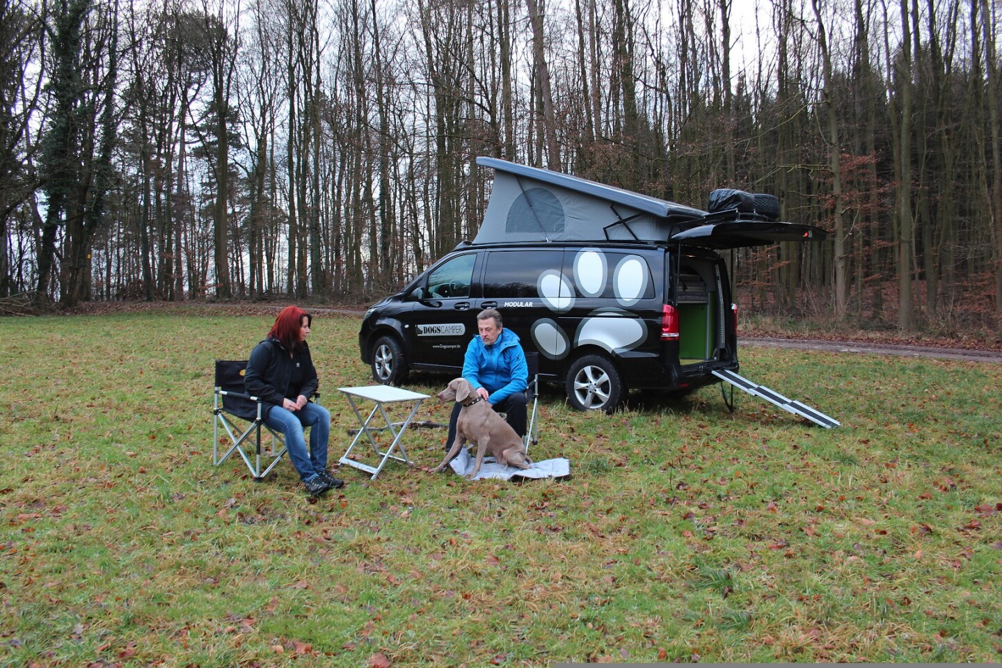 This modular camper van is one for the dogs (and their owners)