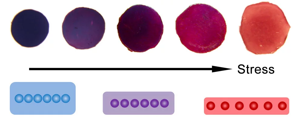 The polymer film changes in color from blue to red as pressure is applied