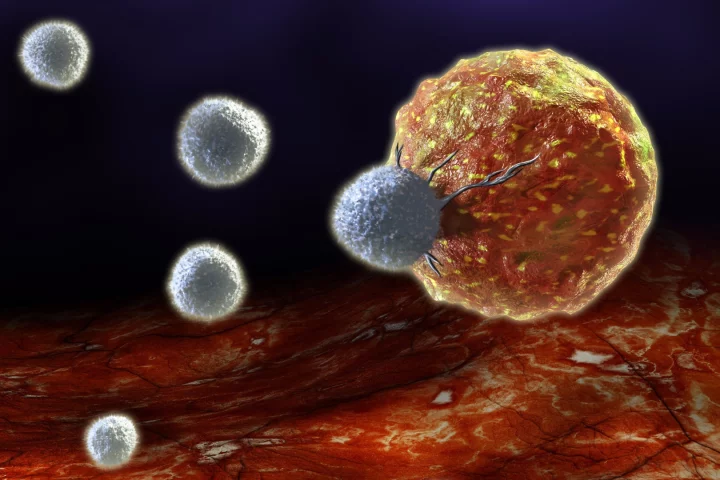 Kymriah involves reintroducing modified T-cells into the patient to act as cancer hunters, targeting and killing specific tumor cells