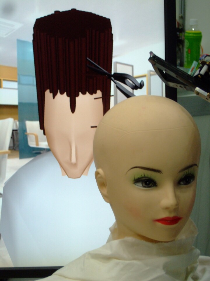 Air Hair: Virtual Reality haircut simulator