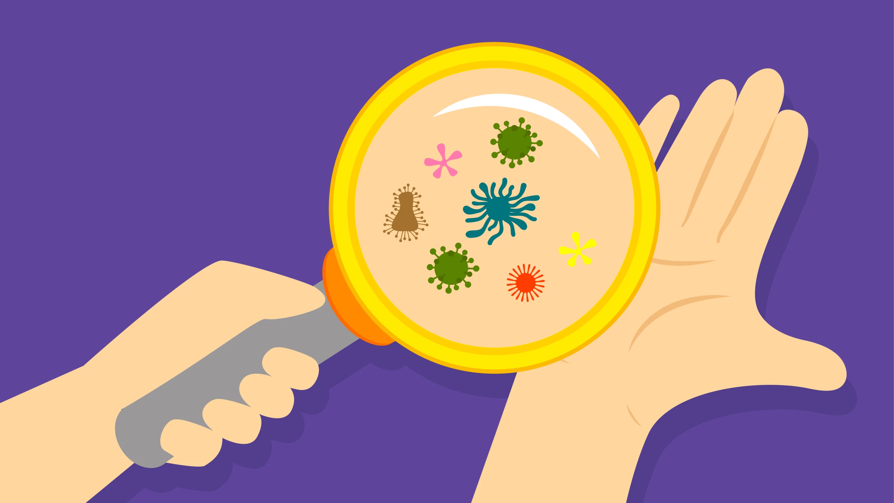 New research points to a future where bacteria could be incorporated into sunscreens to help the body protect itself from UV rays