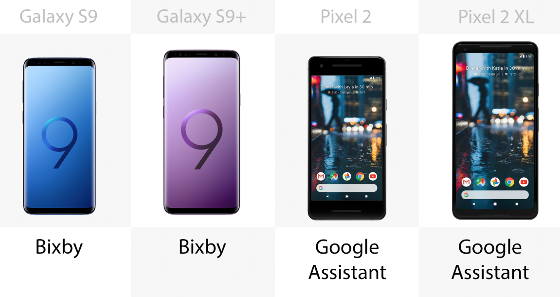 Assistant