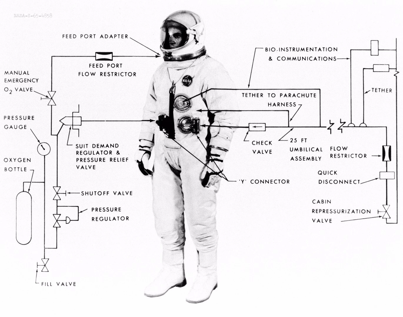 Gemini suit diagram