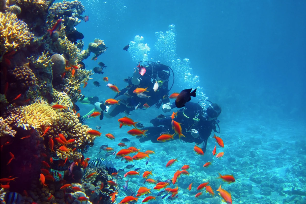 GPS signals don't reach underwater, so divers can't use them to navigate