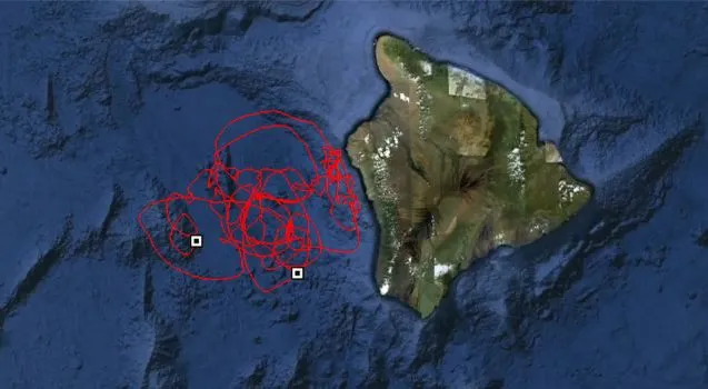 A map showing the area in which the Velella Research Project's Aquapod is drifting