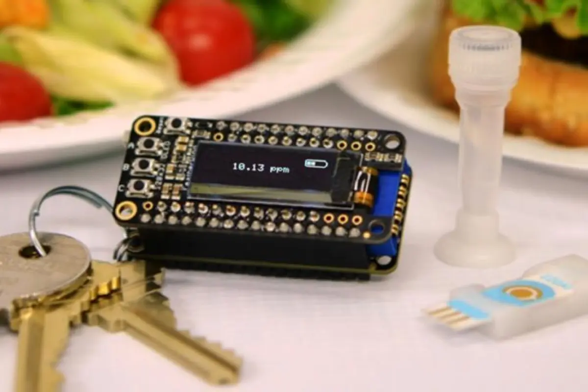The prototype iEAT system