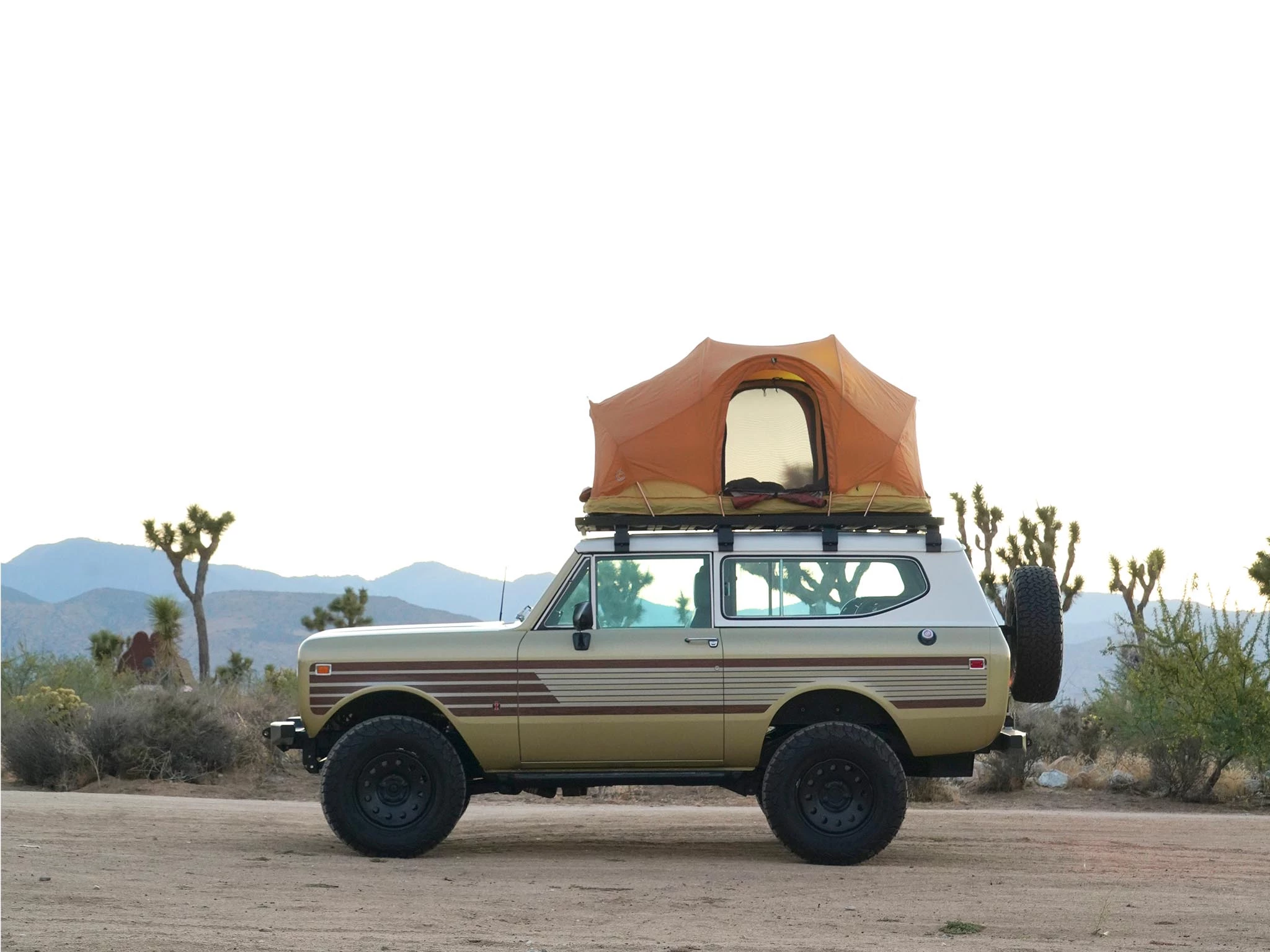 Ready for desert (or anywhere) adventure with the Rev tent mounted up high