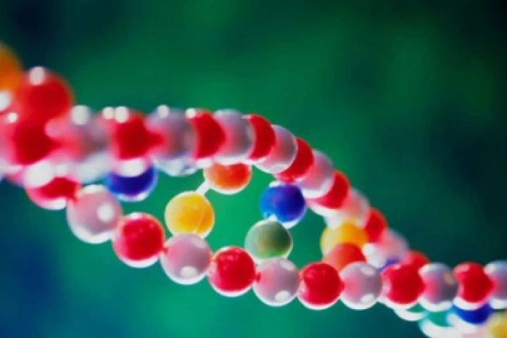 DNA Molecule. Credit: Courtesy, IBM