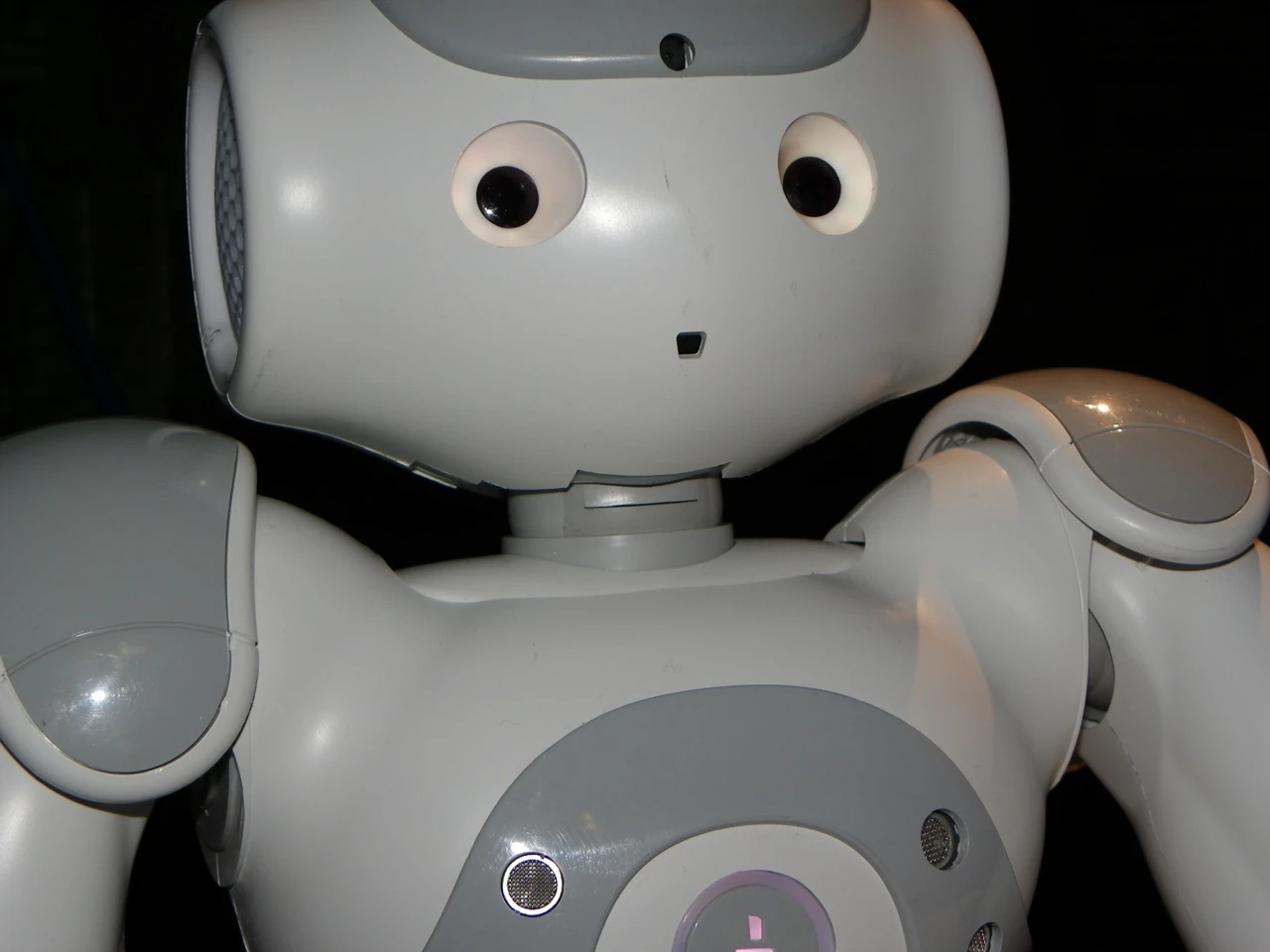 Nao, the versatile fool (Photo: Gizmag)