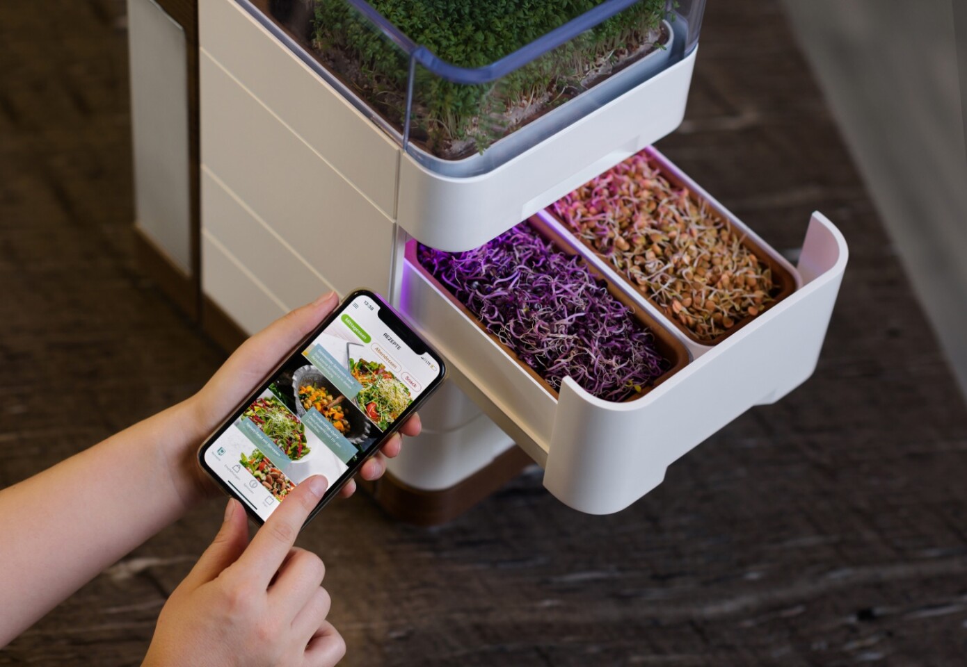Control of the Cell One can be undertaken using a companion app running on a smartphone