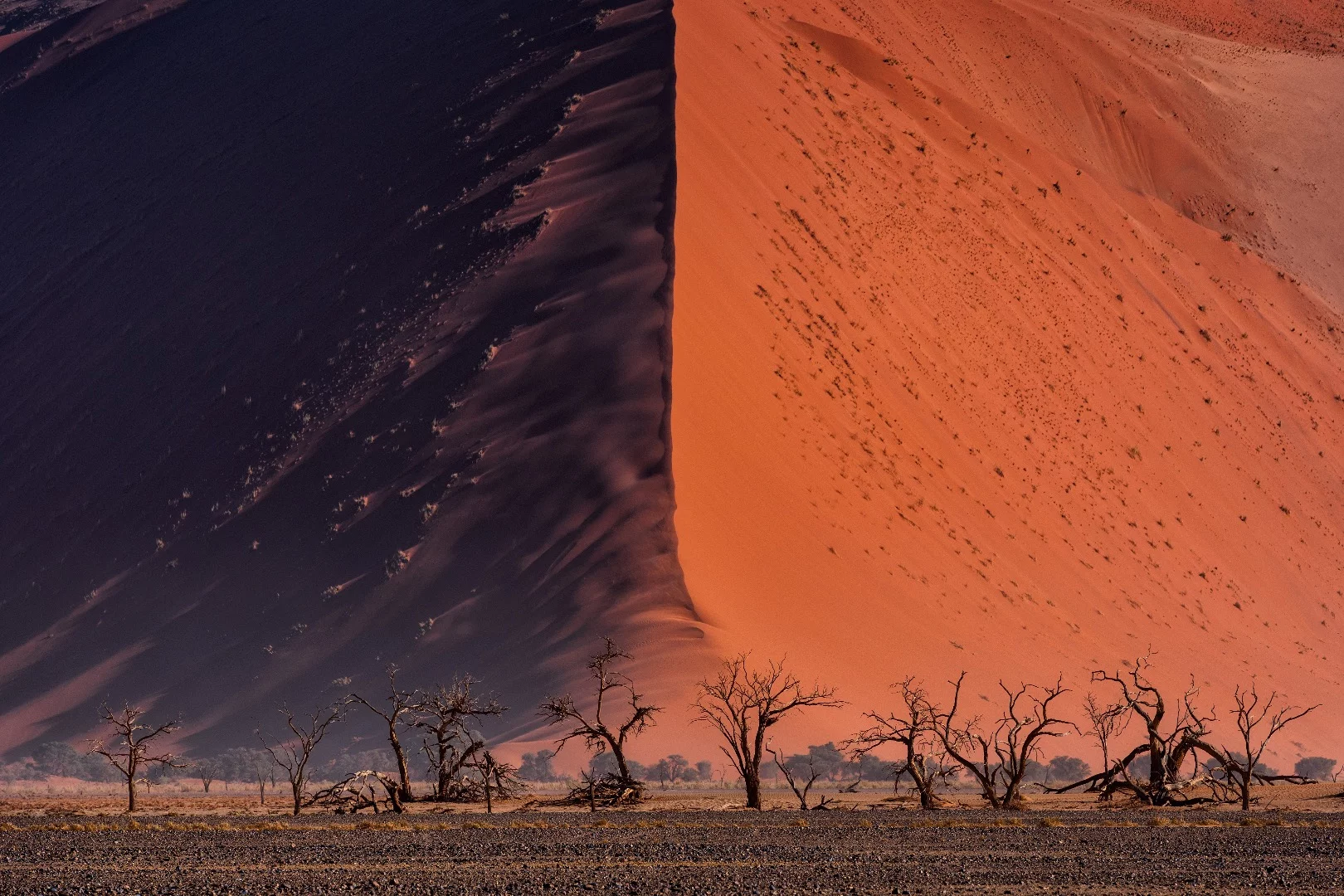 The great landscape of large sand dune in Namib desert, Namibia