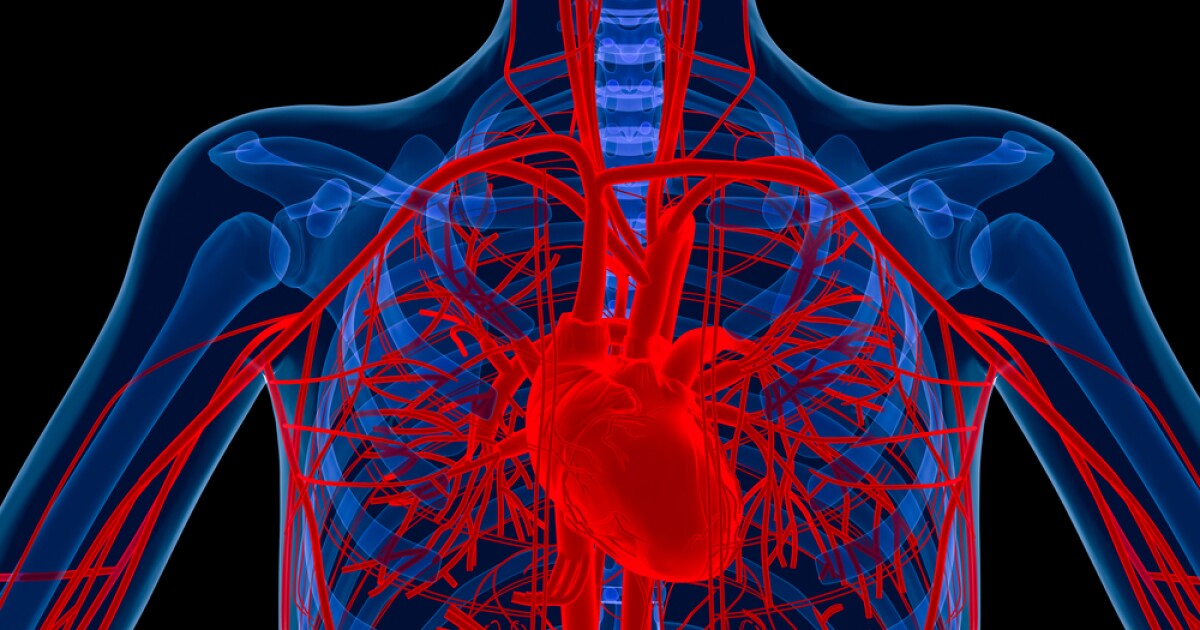 New method for regrowing blood vessels developed