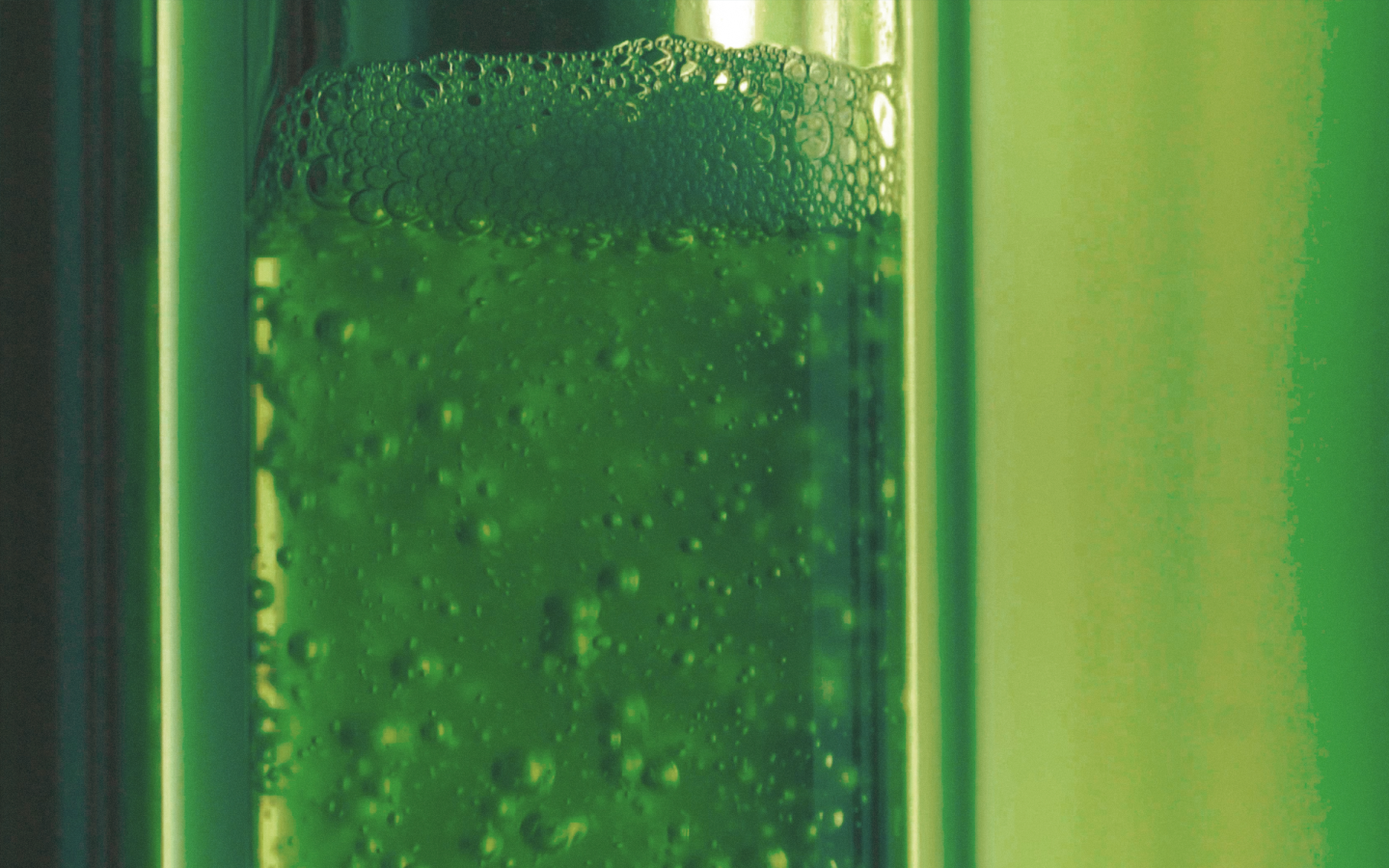 The algae inside the Eos Bioreactor lives inside a tube system and water tank within the device, which is pumped full of air and exposed to artificial light