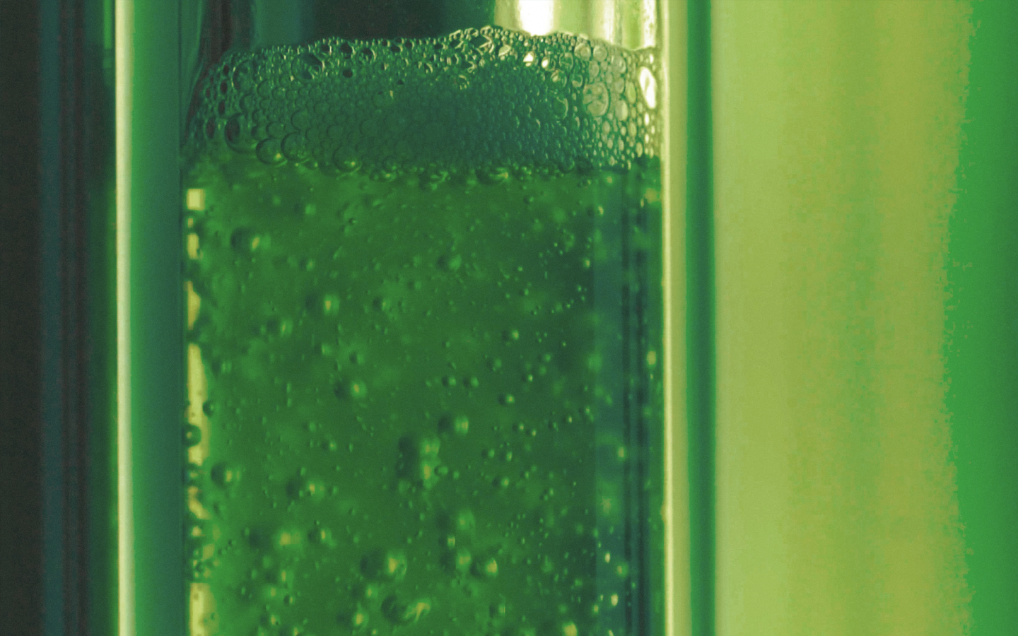 algae based carbon capture technology public companies