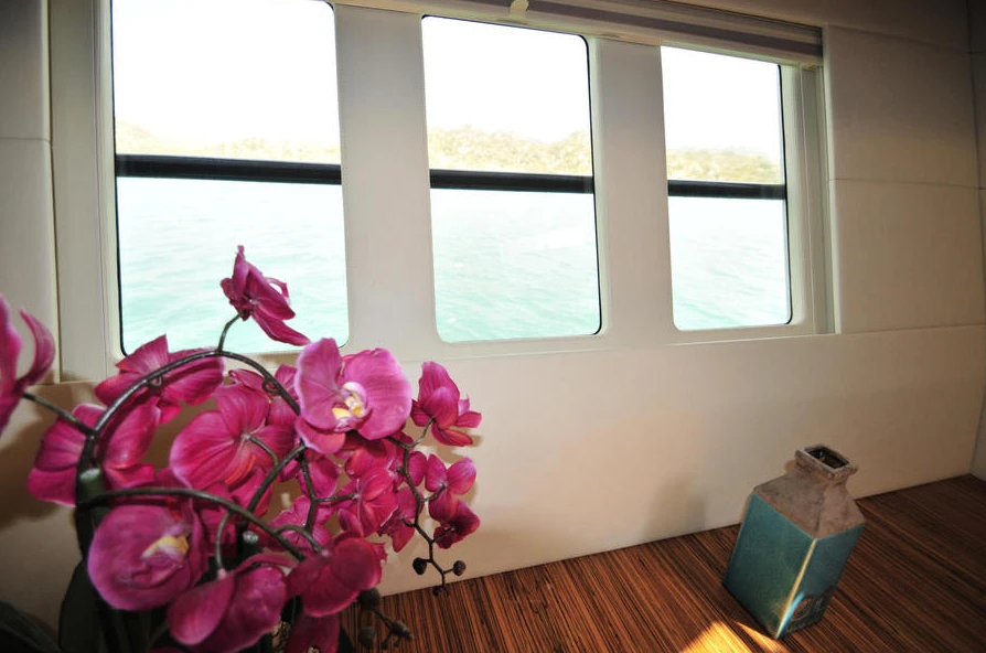Looking out from a Solawave 64 guest cabin